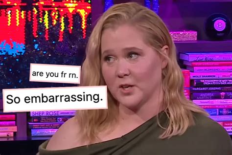 amy schumer controversy.